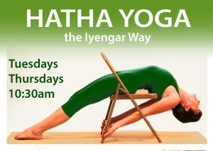 Hatha-Yoga-Icon