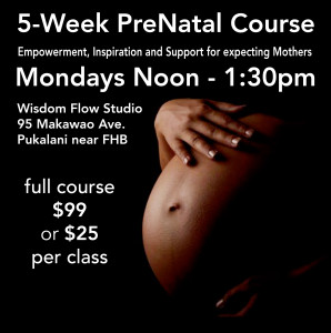 PreNatal-5week-Icon